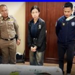 勒索、诈骗!6.18亿!中国男女在泰国落网-彩金特邀-免费彩金-白菜论坛