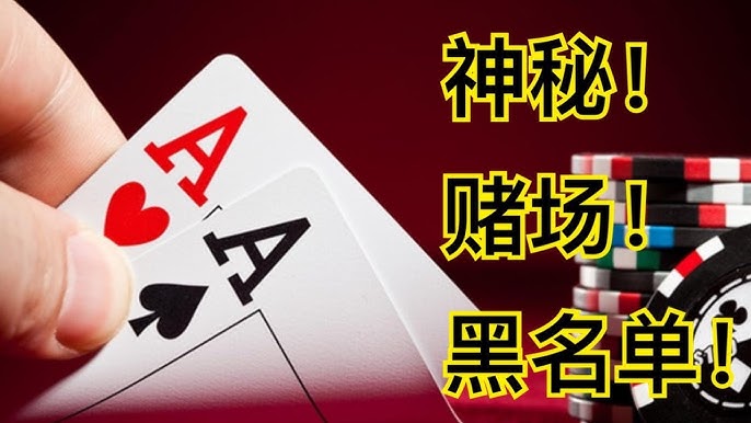 博彩中的数据模型与预测技术：如何运用机器学习分析赛果-彩金特邀-免费彩金-白菜论坛