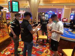 统计学在体育博彩中的应用：如何通过数据提高预测准确性-彩金特邀-免费彩金-白菜论坛